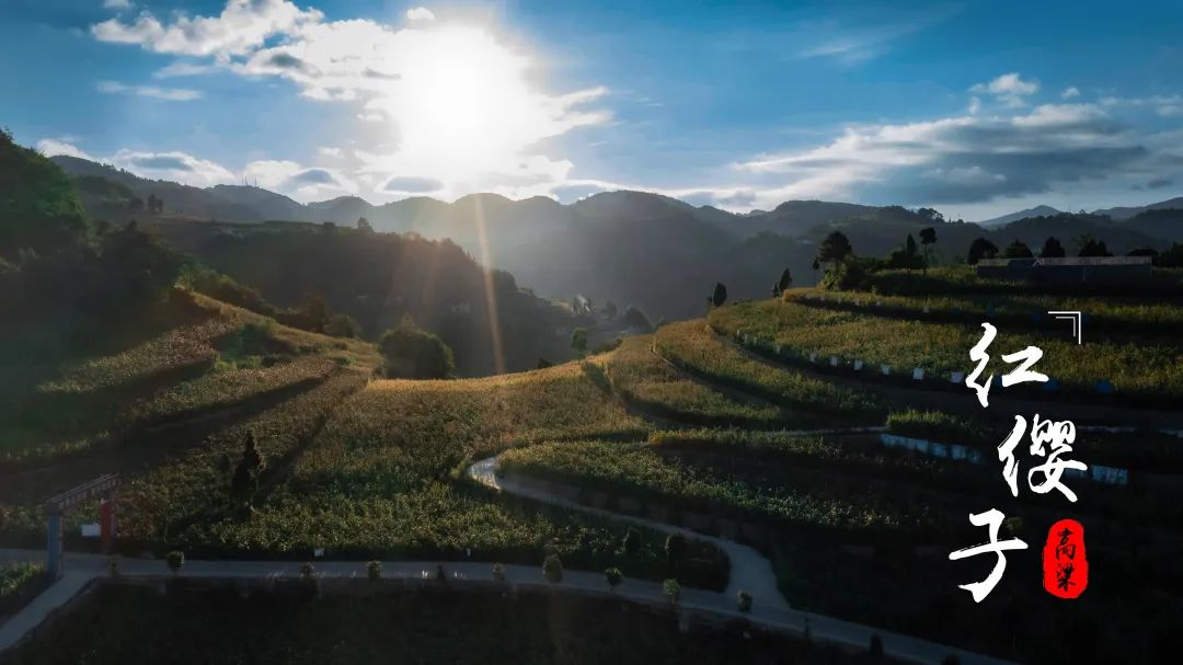 圖片1.png 圖片1.png